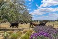 Property photo of 89 Falvey Road Orange NSW 2800