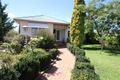 Property photo of 81 Pelham Street Tenterfield NSW 2372