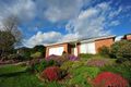 Property photo of 23 Harrow Street Blackburn South VIC 3130