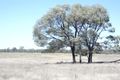 Property photo of 946 Tara-Kogan Road Tara QLD 4421