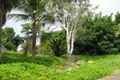 Property photo of 8 Albatross Street Slade Point QLD 4740
