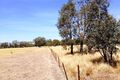 Property photo of 764 Baddaginnie-Benalla Road Baddaginnie VIC 3670