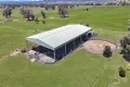 Property photo of 3374 Murringo Road Young NSW 2594