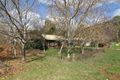 Property photo of 34 Deacon Avenue Bright VIC 3741