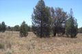 Property photo of 513 Old Cameby Road Miles QLD 4415