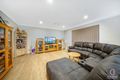 Property photo of 53 Nicholson Parade Spring Farm NSW 2570