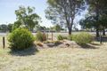 Property photo of 2 Trangie Road Narromine NSW 2821
