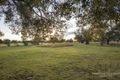 Property photo of 2 Trangie Road Narromine NSW 2821