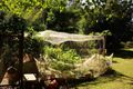 Property photo of 187 Courtney Gap Road Sarina QLD 4737