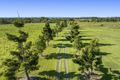 Property photo of 80 Lawrence Road Highfields QLD 4352