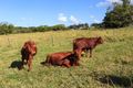 Property photo of 115 Perry Road Image Flat QLD 4560