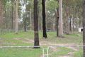 Property photo of 16 Rosella Avenue Regency Downs QLD 4341