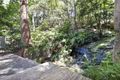 Property photo of 4 Thomas Street Tascott NSW 2250