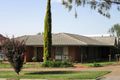Property photo of 9 Austral Avenue Linden Park SA 5065