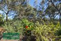 Property photo of 184 Stone Road Kangaroo Flat SA 5118