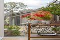 Property photo of 3/26 Diosma Road Eltham VIC 3095