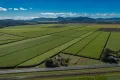 Property photo of 12706 Bruce Highway Hamilton Plains QLD 4800
