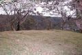 Property photo of 706 Great Western Highway Faulconbridge NSW 2776