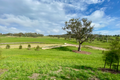 Property photo of 40/9-11 Felstead Vista Denman Prospect ACT 2611