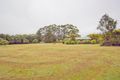 Property photo of 156 Cowlong Road McLeans Ridges NSW 2480