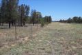 Property photo of 513 Old Cameby Road Miles QLD 4415