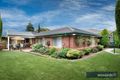 Property photo of 20 Bindy Street Blackburn South VIC 3130