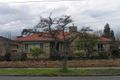 Property photo of 12 Alfred Grove Oakleigh East VIC 3166