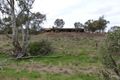 Property photo of 1747 Flinders Ranges Way Saltia SA 5433