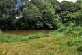 Property photo of 341 Lake Barrine Road Malanda QLD 4885