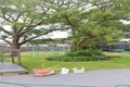 Property photo of 140-146 Station Street Koo Wee Rup VIC 3981
