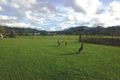 Property photo of 4 Farm Lane Currumbin Valley QLD 4223