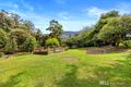 Property photo of 17 Pheasant Parade Warburton VIC 3799