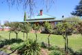 Property photo of 170 High Street Tenterfield NSW 2372