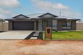 Property photo of 32 Hale Street Renmark SA 5341