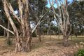 Property photo of 70-74 Hensley Park Road Hamilton VIC 3300