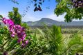 Property photo of 6 Hummingbird Terrace Coolum Beach QLD 4573
