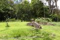 Property photo of 1001 Gold Coast Springbrook Road Neranwood QLD 4213