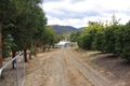 Property photo of 135 Saddle Road Magra TAS 7140