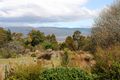 Property photo of 18A John Street Cornwall TAS 7215