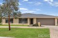 Property photo of 52 Boronia Avenue Wallan VIC 3756