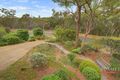 Property photo of 35 Cumbora Circuit Berowra NSW 2081