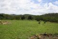 Property photo of 194 Scrub Road Mount Perry QLD 4671