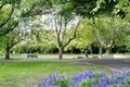 Property photo of 9 Pickford Street Prahran VIC 3181