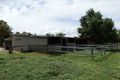 Property photo of 55 Kurtz Street Chinchilla QLD 4413