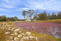 Property photo of 102 Lansdowne Road Orchard Hills NSW 2748