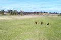 Property photo of 78 Victoria Street Sutton NSW 2620