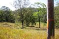 Property photo of 124 Plains Station Road Tabulam NSW 2469