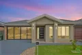 Property photo of 66 Bunting Crescent Kalkallo VIC 3064
