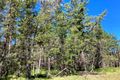 Property photo of LOT 64 Nerriga Road Tomboye NSW 2622