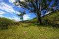 Property photo of 394 Lindsay Road Larnook NSW 2480
